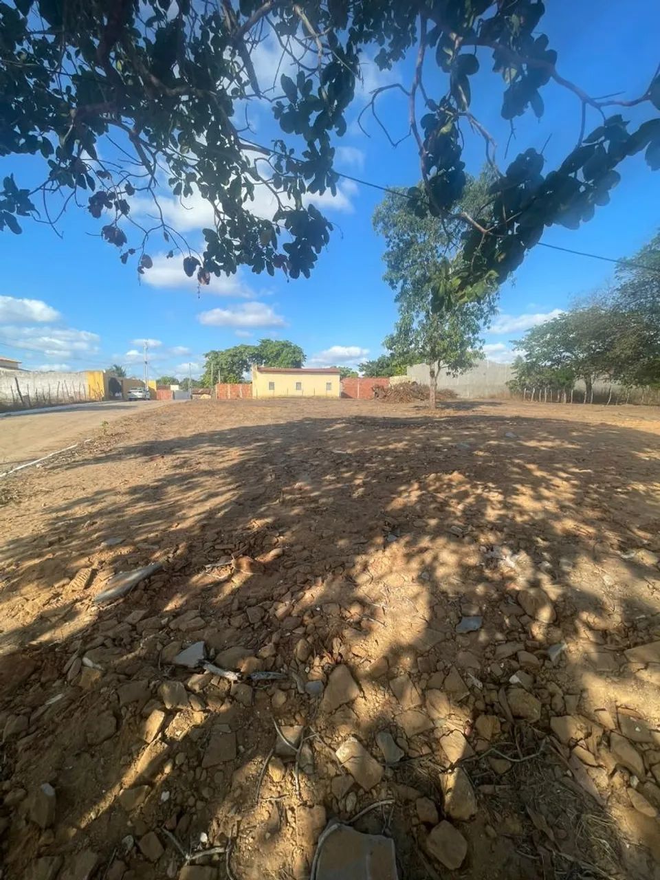 Lote e terreno total