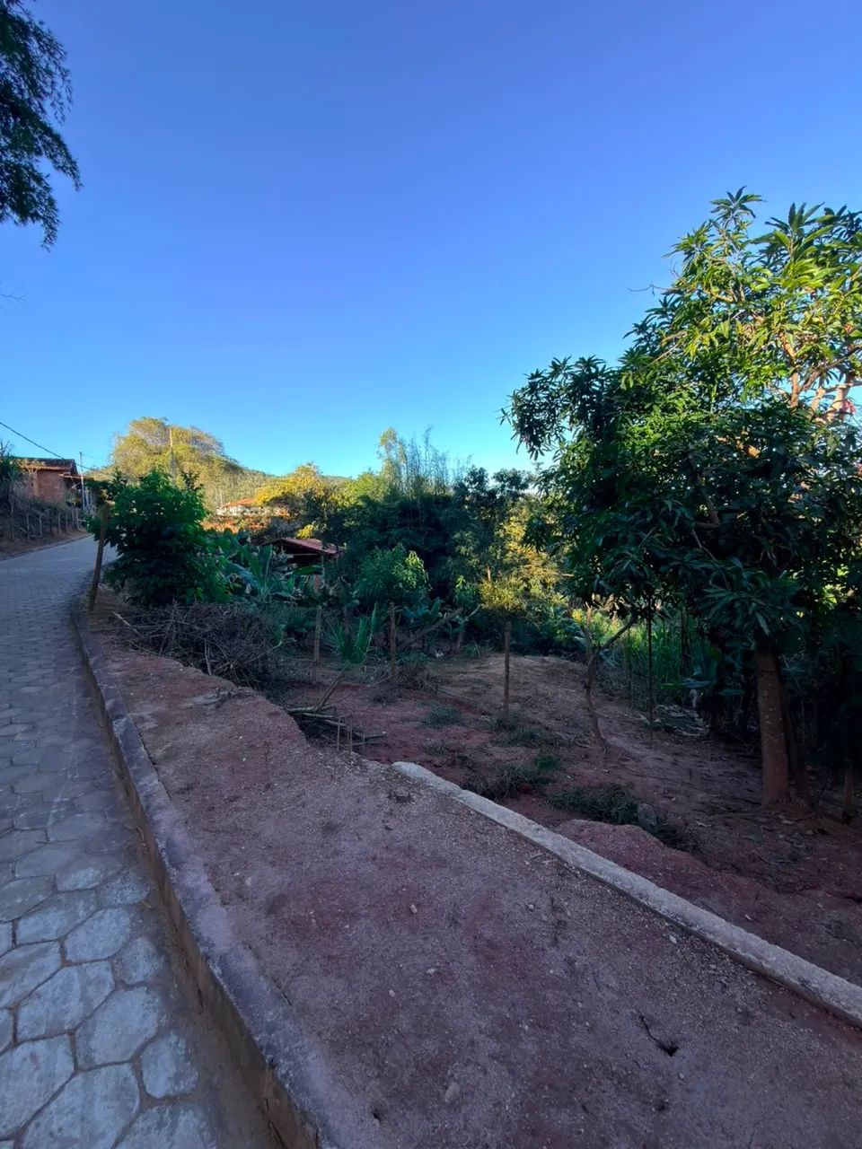 Lote na roça  - Foto 2