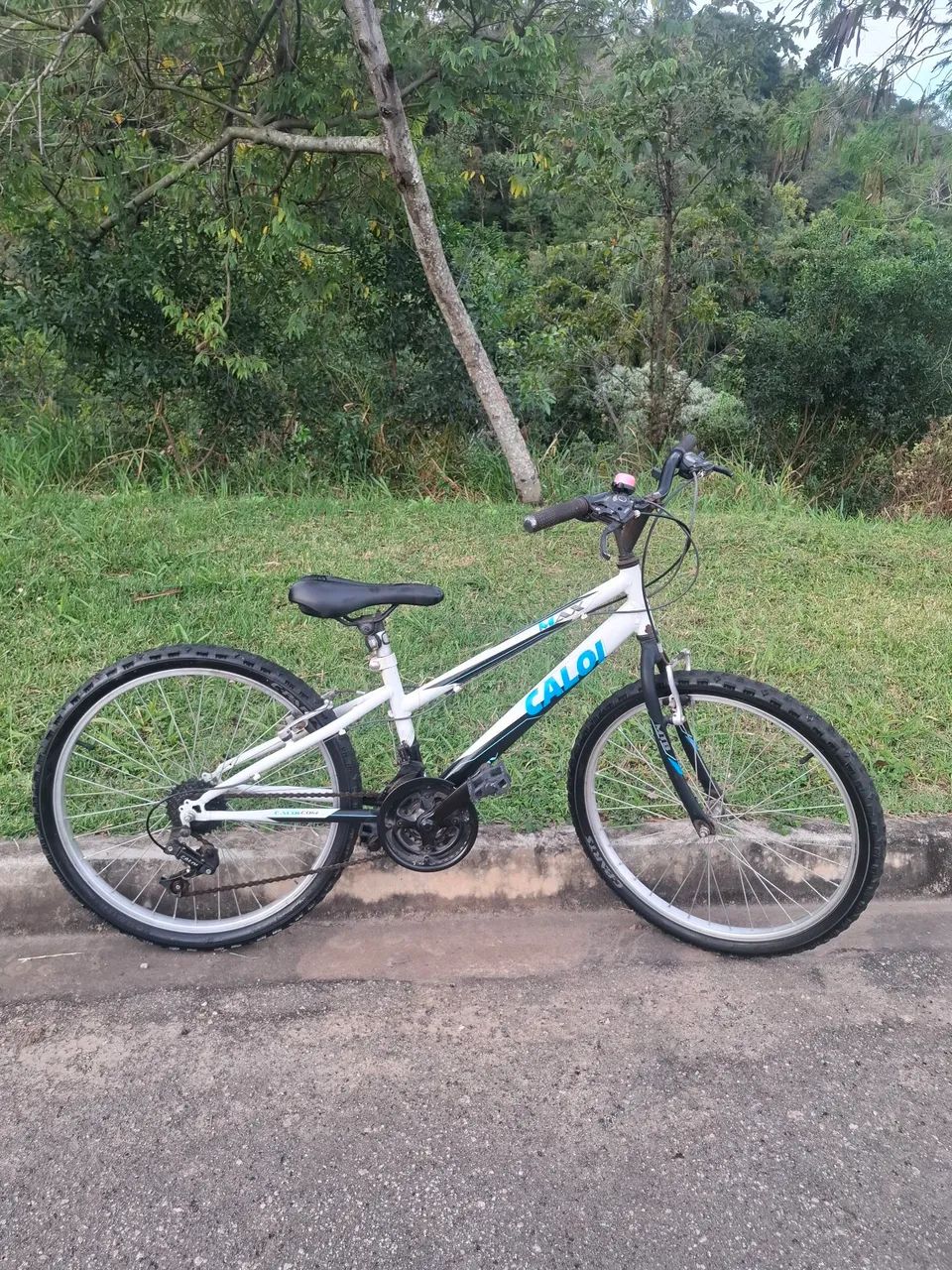 CALOI ARO 24 