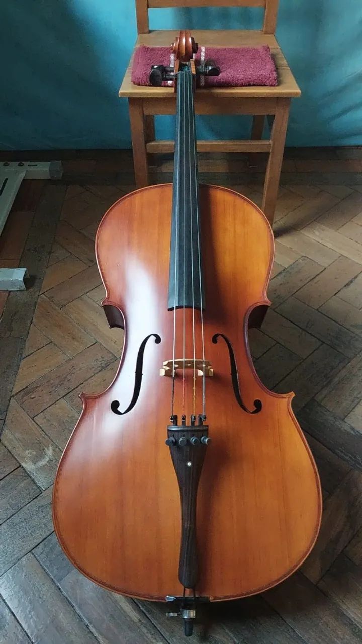 Violoncelo Eagle 4/4 CE 300 - Foto 3