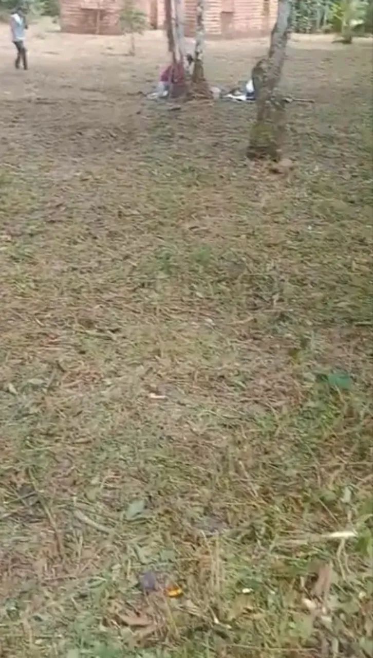 Vendo dois terrenos  - Foto 2