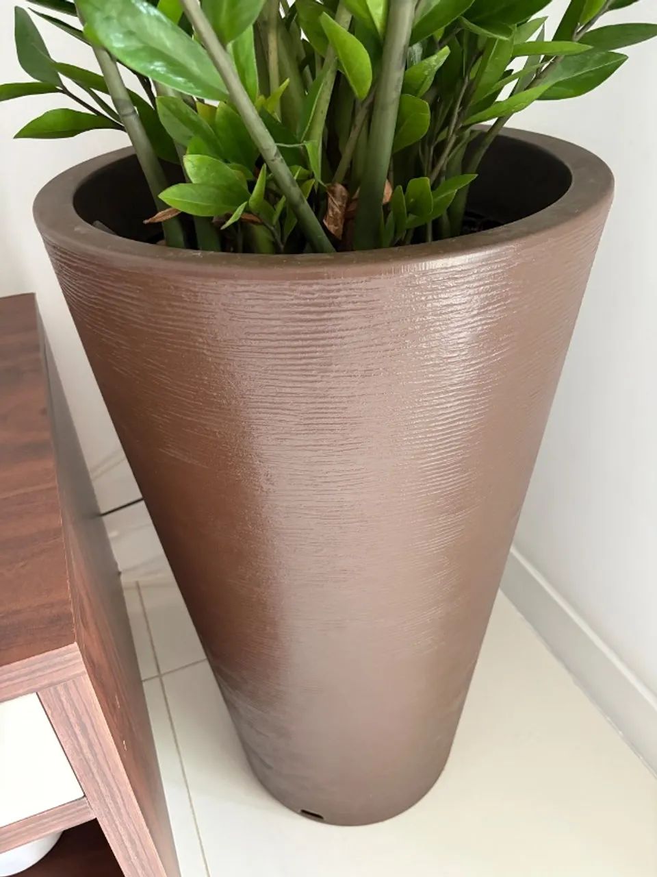 Vaso com Zamioculca - Foto 3