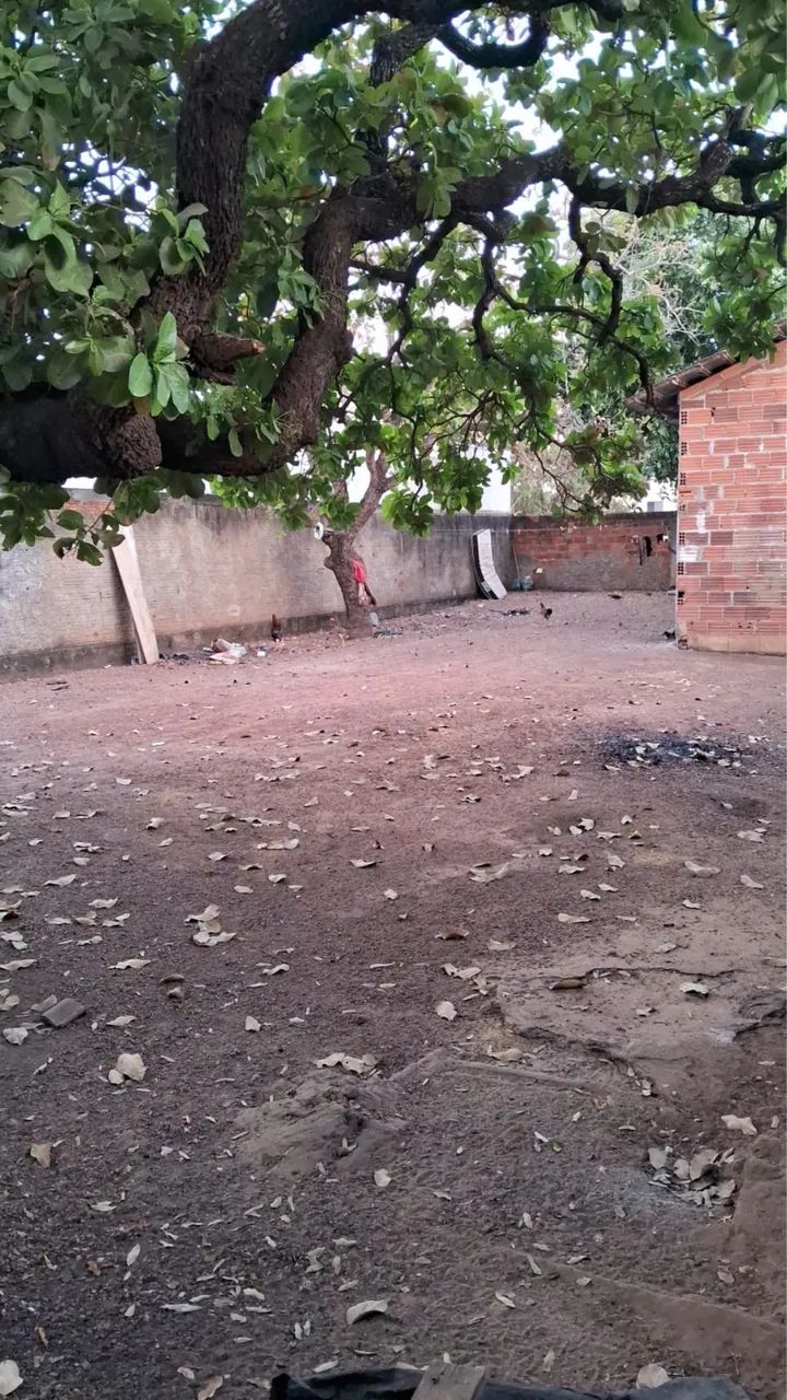 Vendo 2 Kitnets setor jardim aeroporto - Foto 5