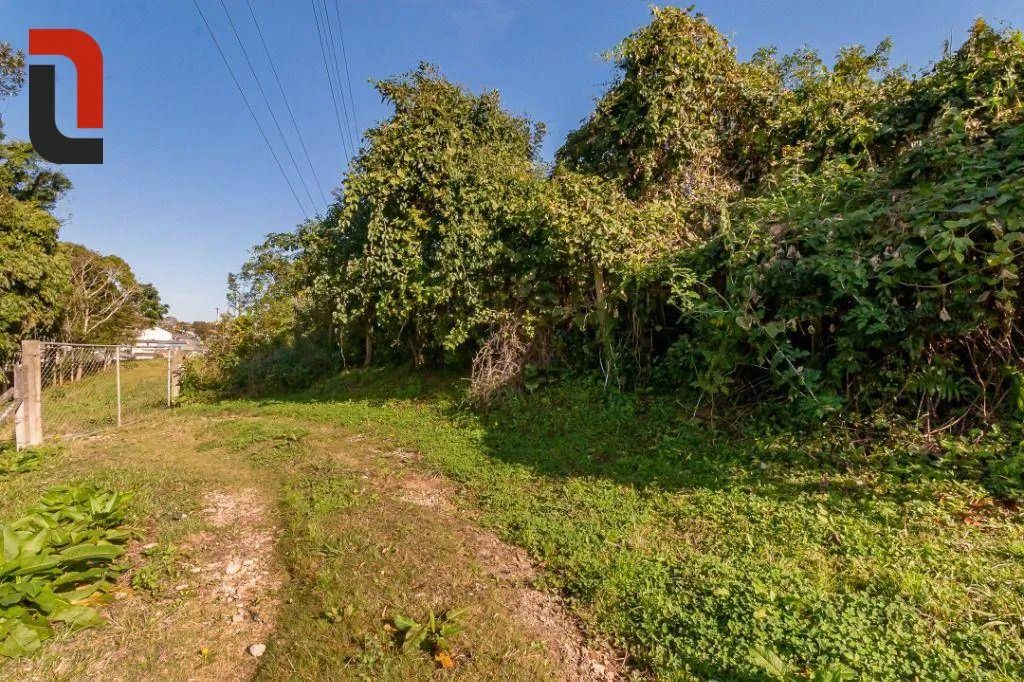 Terreno à venda, 9929 m² por R$ 980.000,00 - Santa Cândida - Curitiba/PR - Foto 12