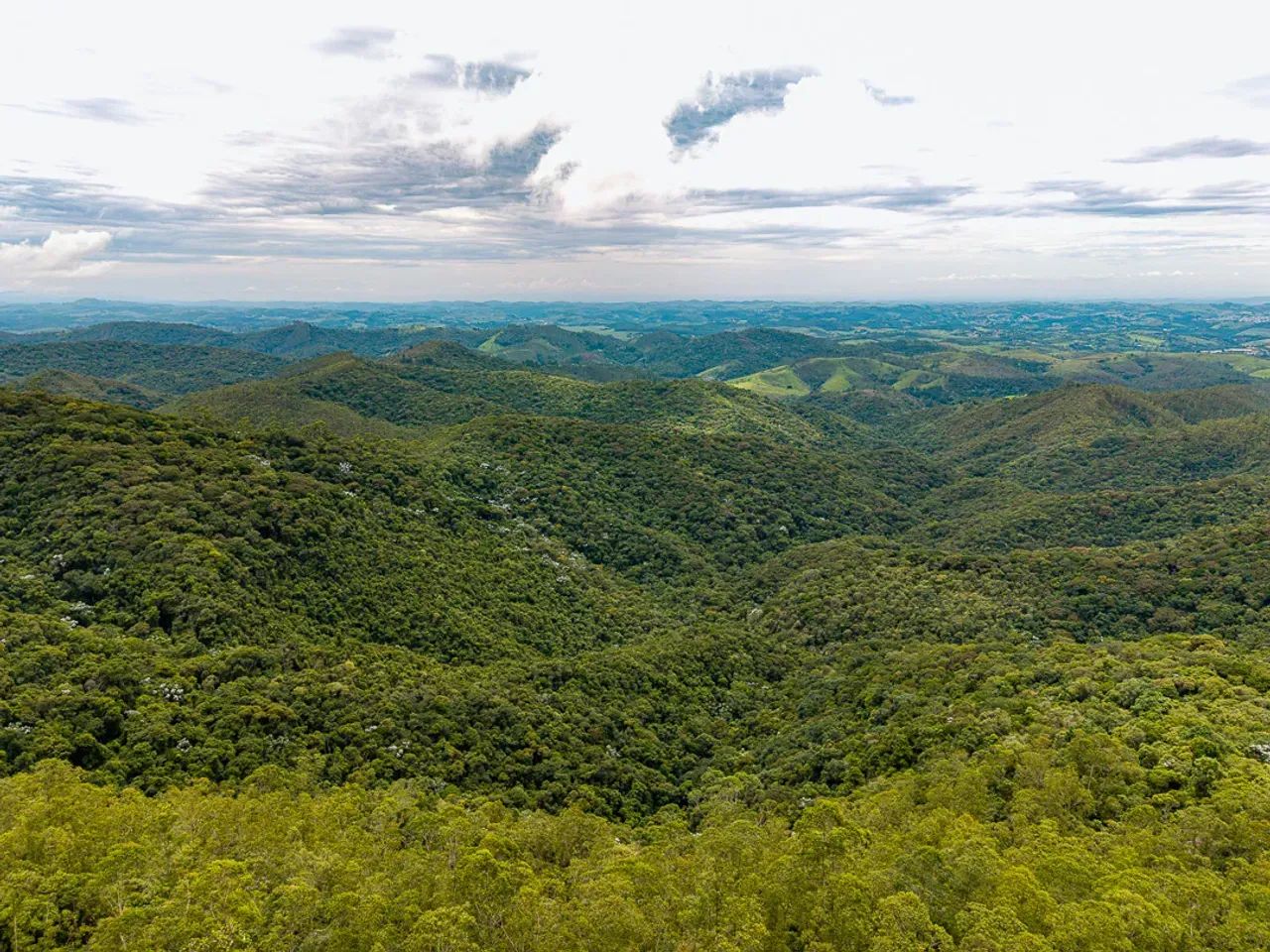 Sítio na montanha com 4 suítes  - Santa Isabel - SP - Foto 5