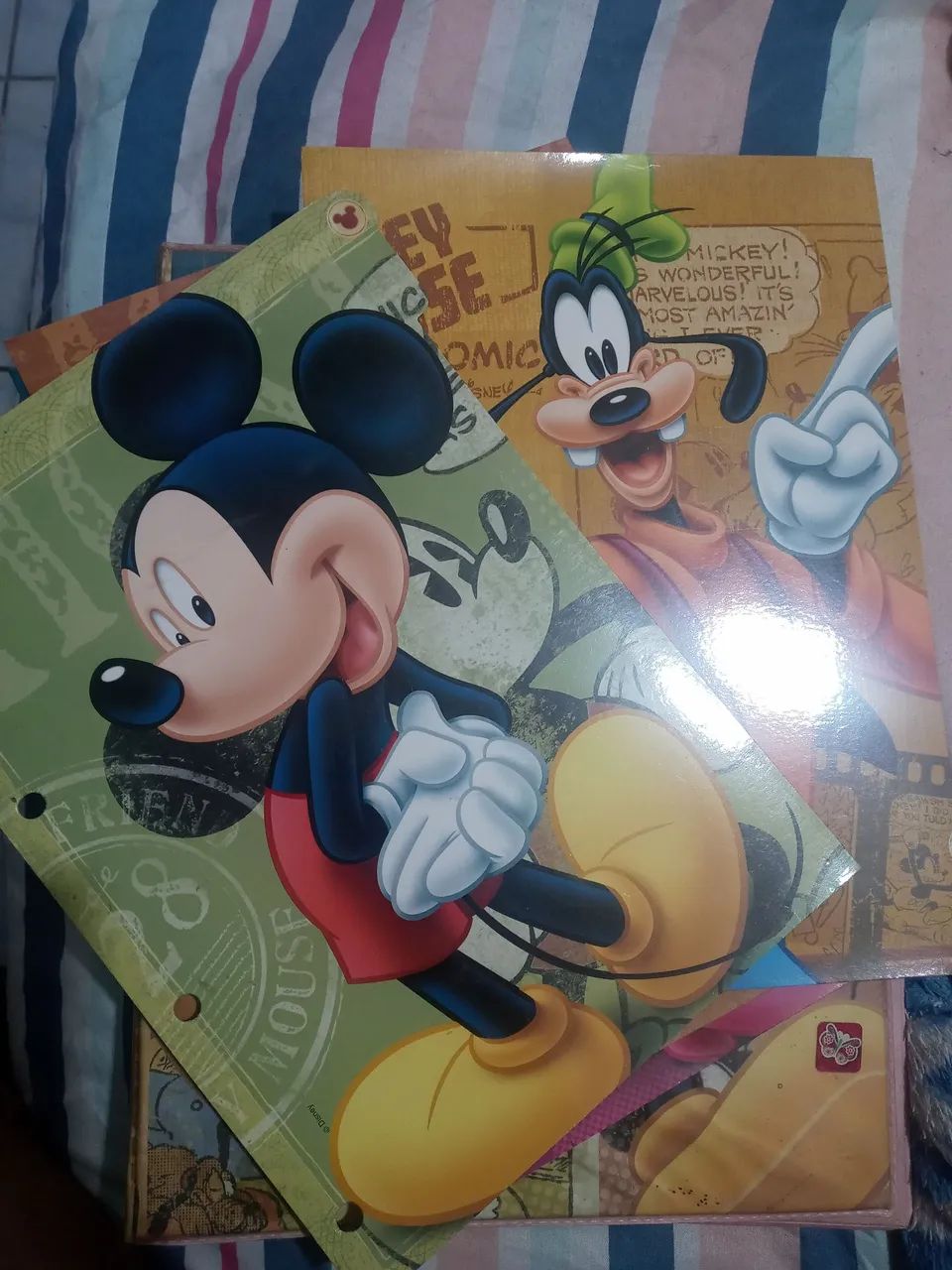 Fichário406798534203166724