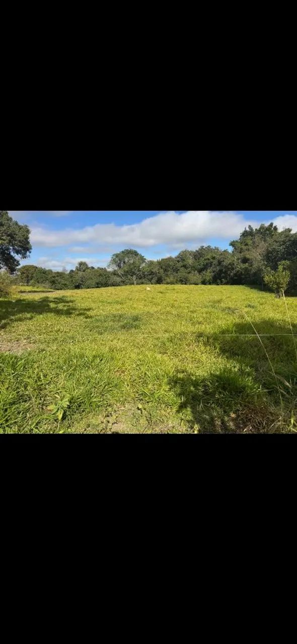 Fazenda a Venda  - Foto 3