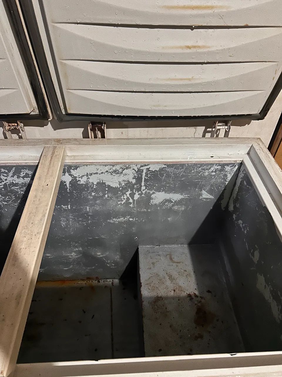 Frise de 2 tampas  - Foto 5