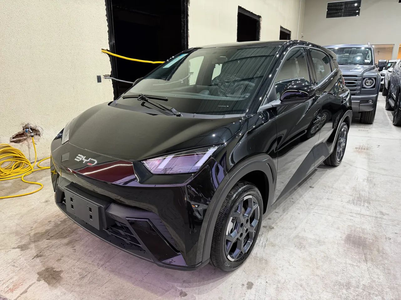 BYD Dolphin Mini GL 2027 - Foto 3