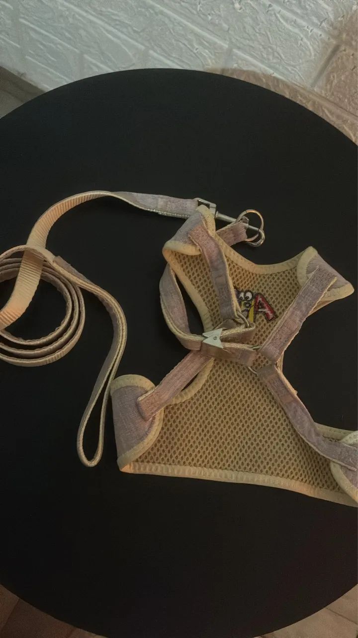 coleira pet - Foto 2