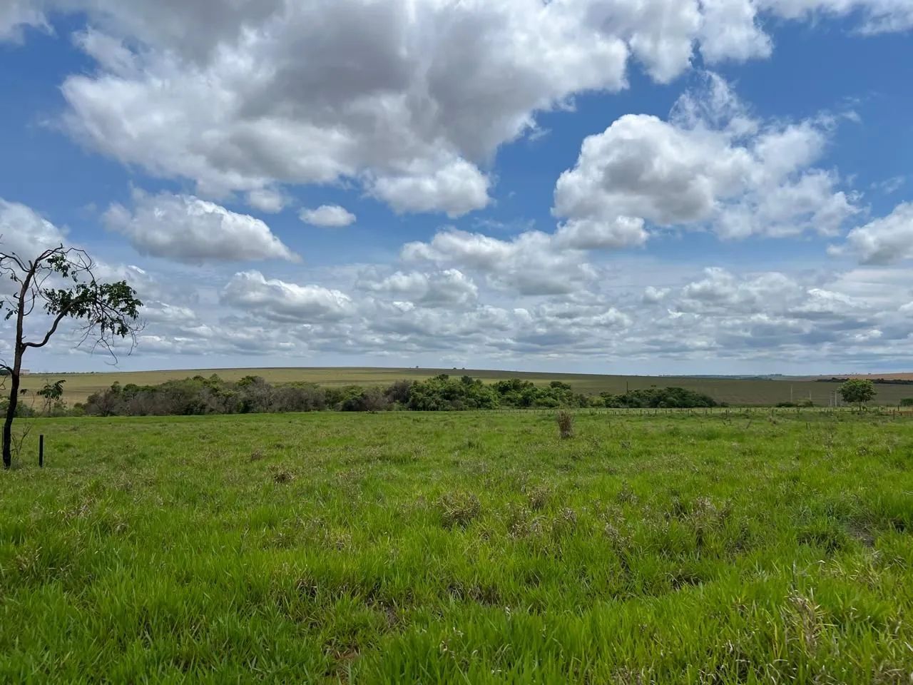 Chácara beira rio - Foto 3