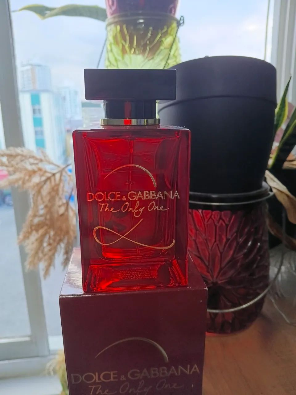 Perfume dolce gabbana