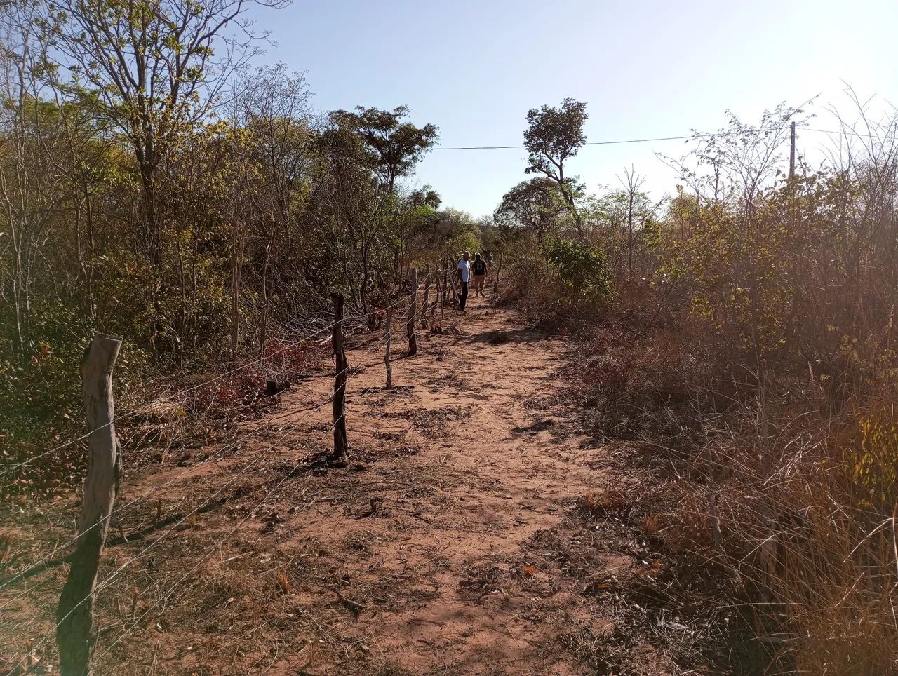 Vendo Terreno Em Currais  - Foto 3