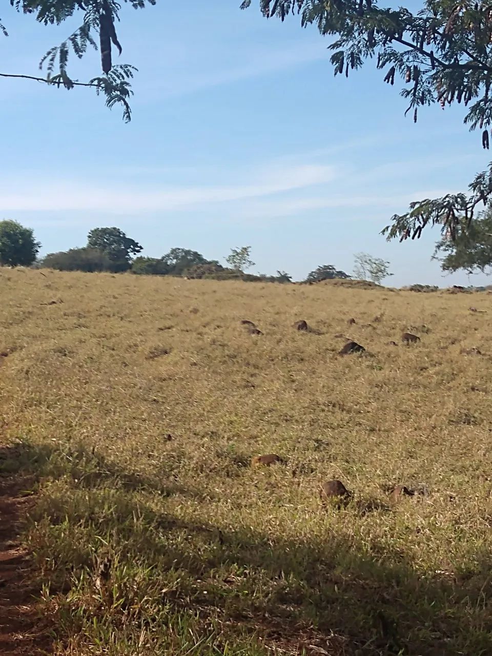 Terreno  - Foto 4