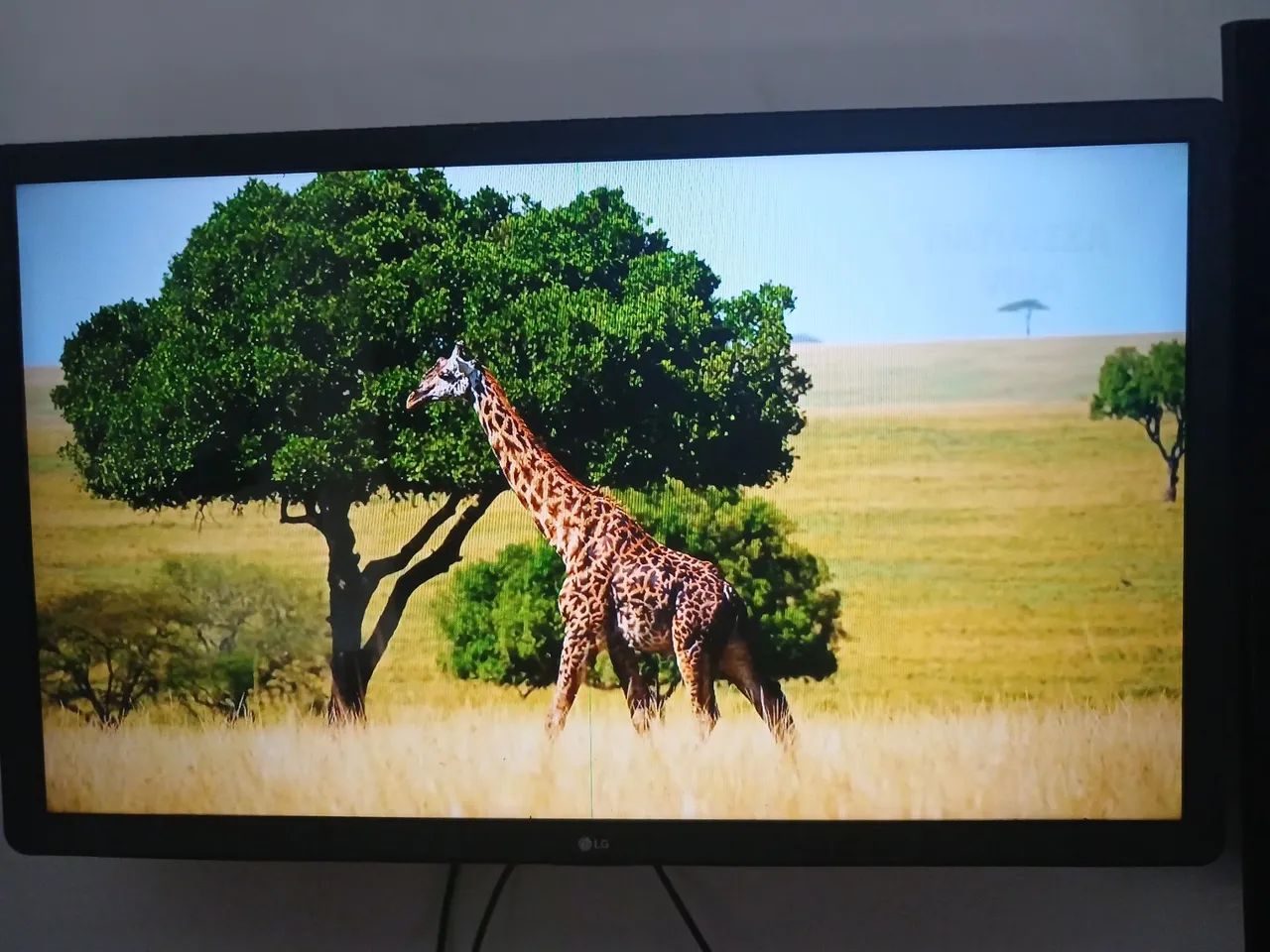 Smart TV LG 32 polegadas 