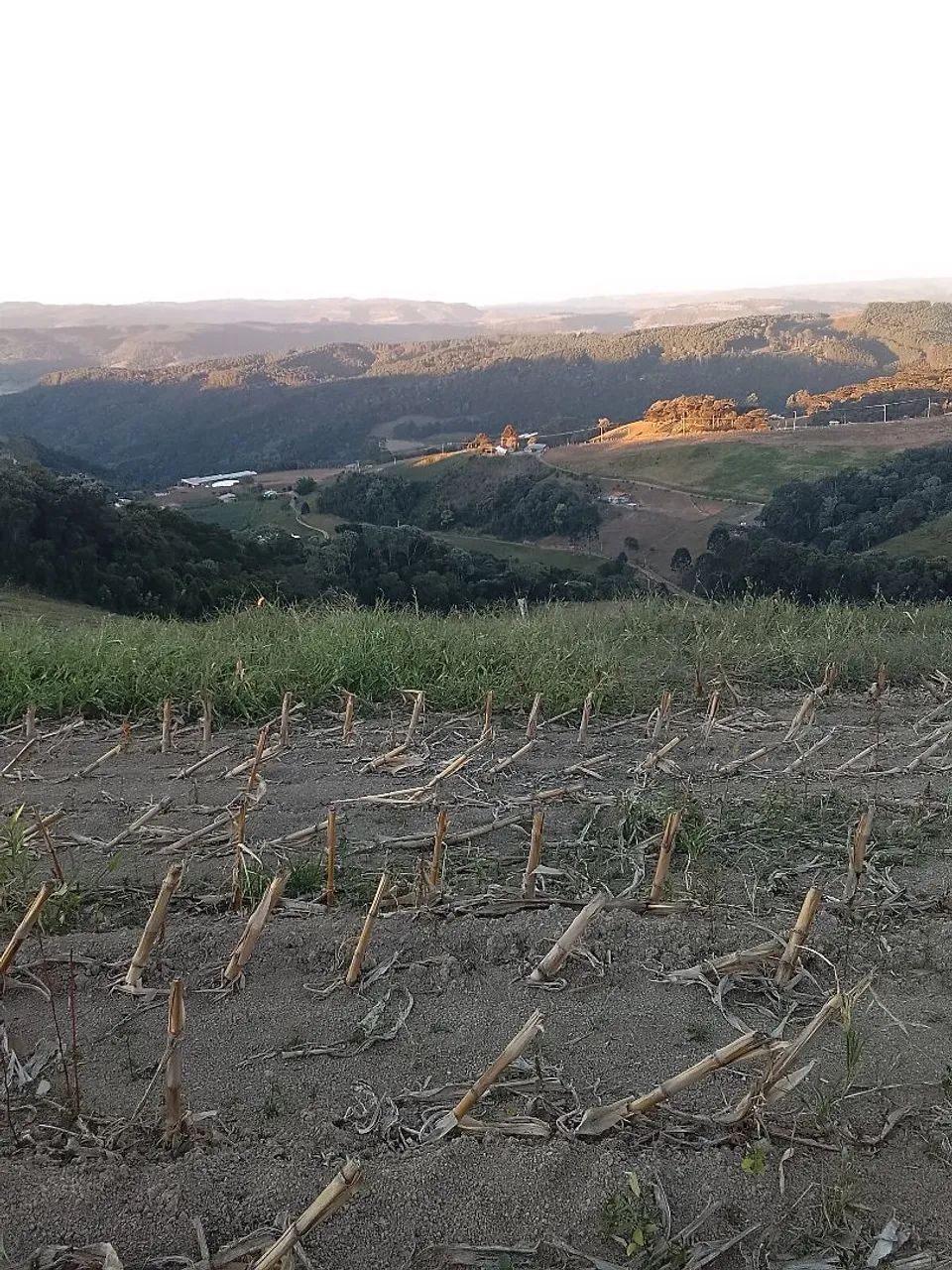 Terreno ou lote  - Foto 3