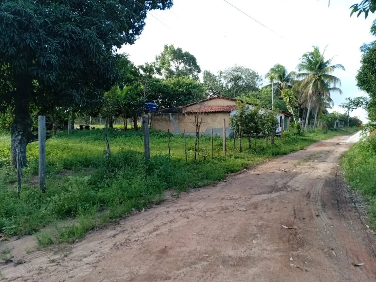 Sitio com 6 tarefas 90 mil - Foto 4