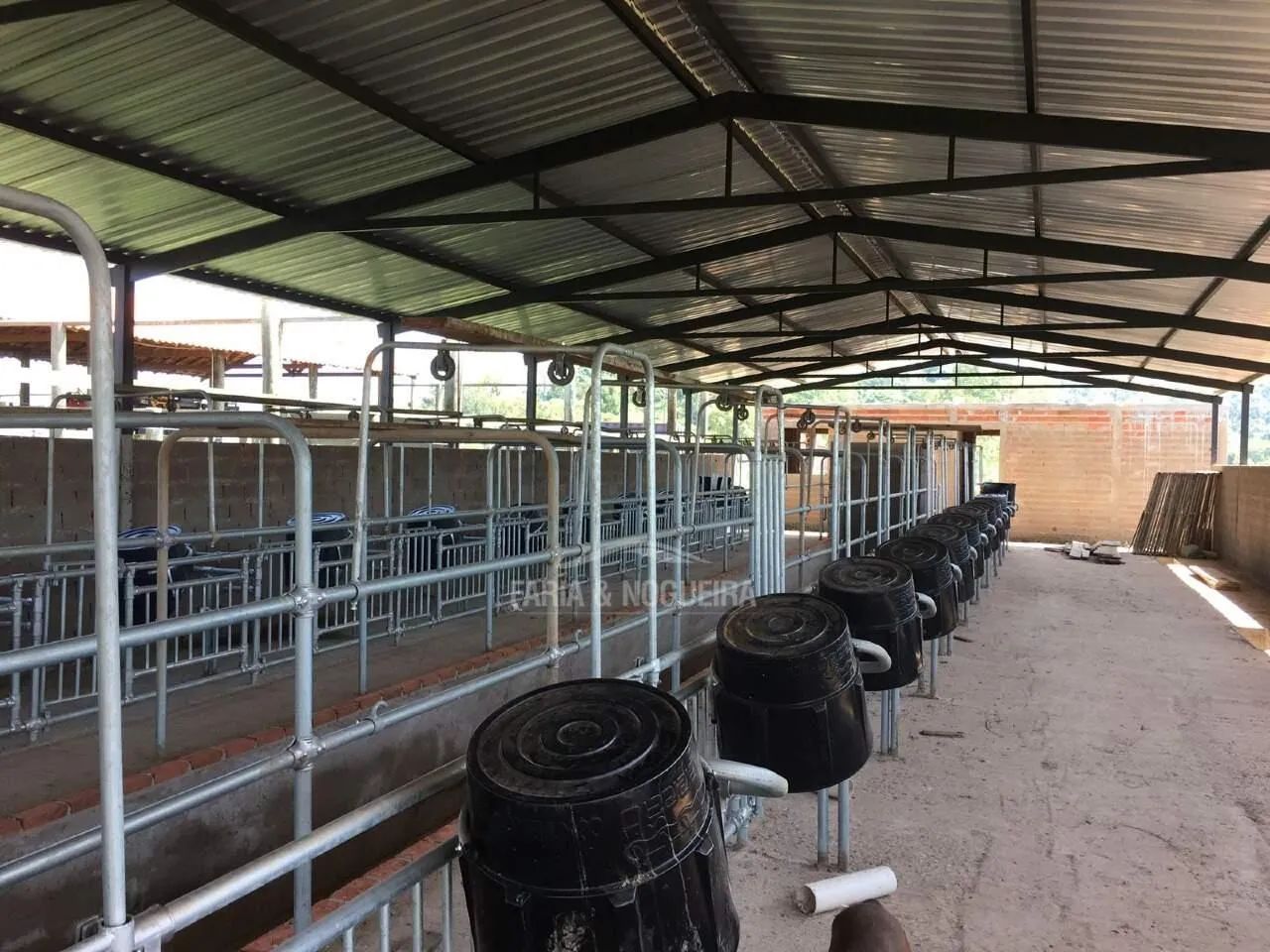 Sítio à venda, 8 quartos, 12 vagas, Itapé - Corumbataí/SP - Foto 4