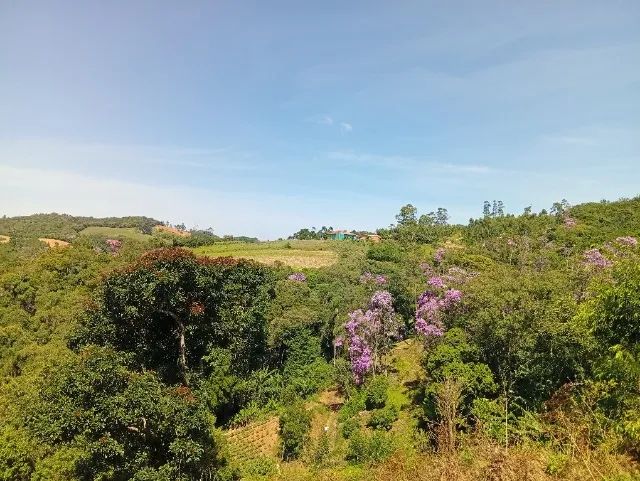 Foto - Piedade - Morro Grande