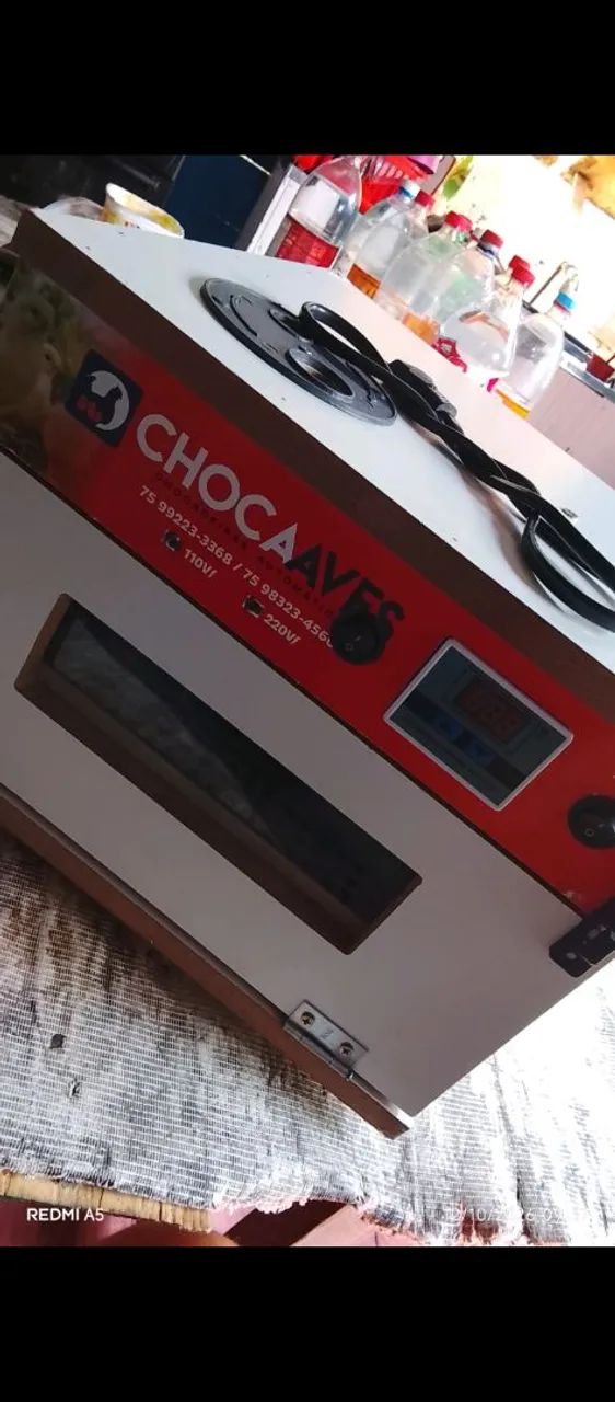 Vende-se essa chocadeira, rolagem automática.