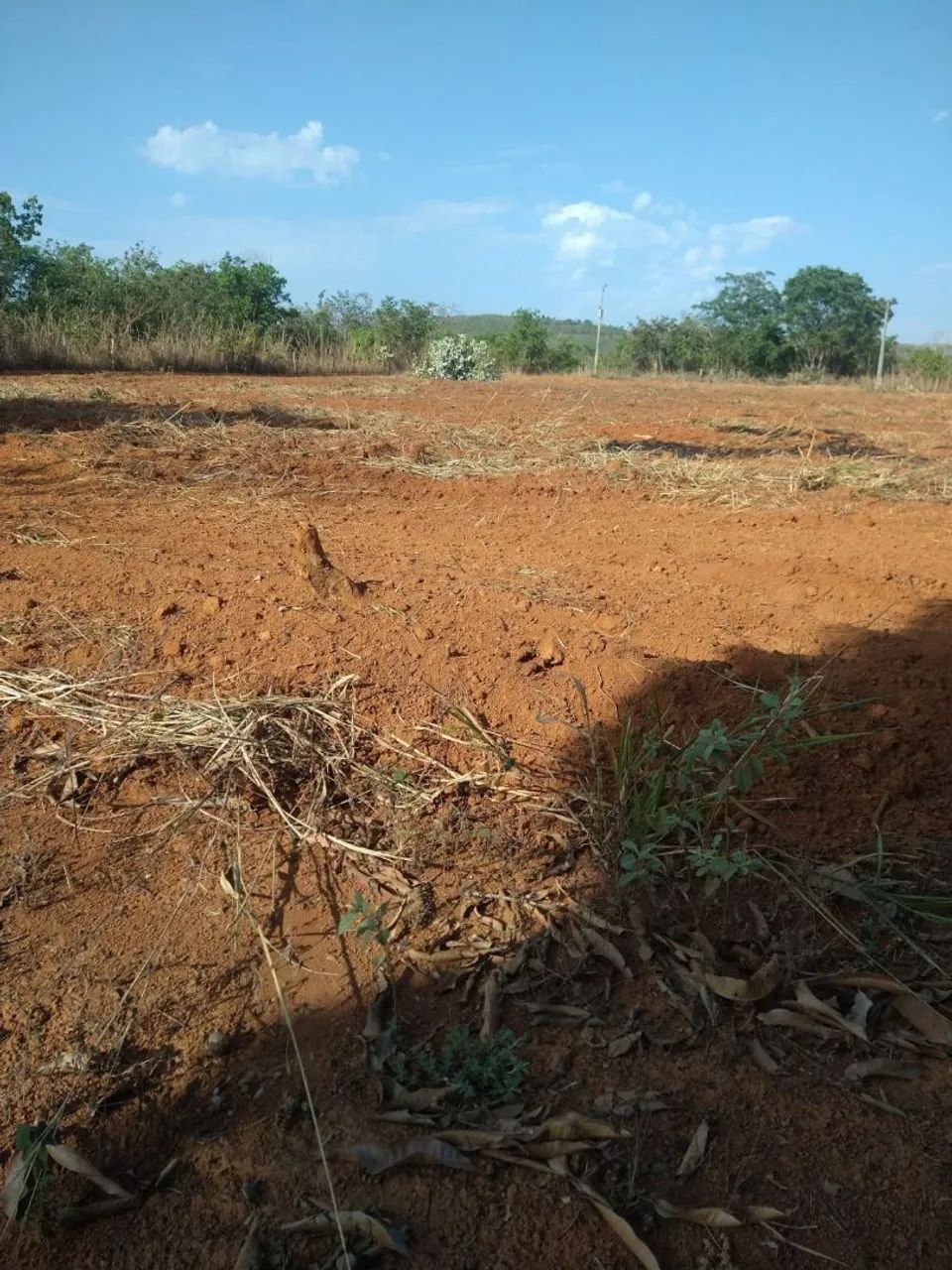 Chácara  - Foto 2