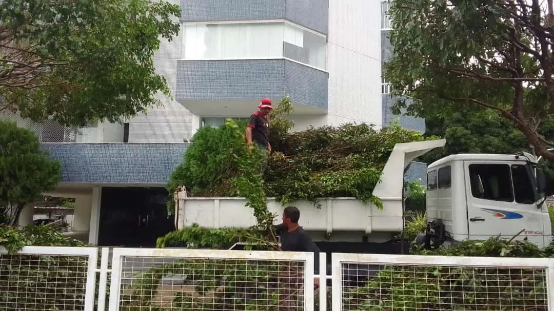 Entulhos disk limpezas de obras caçamba  - Foto 3