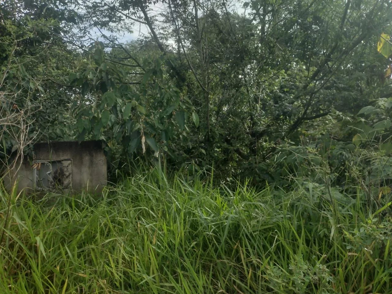 Terreno para chácara em Piedade com escritura  - Foto 3