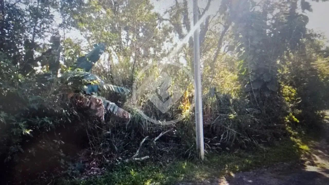 Terreno no Campeche codigo: 284654 - Foto 5