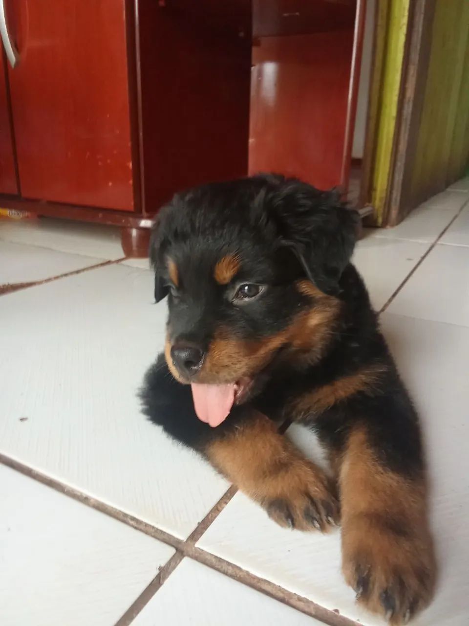 Vendo - Foto 2
