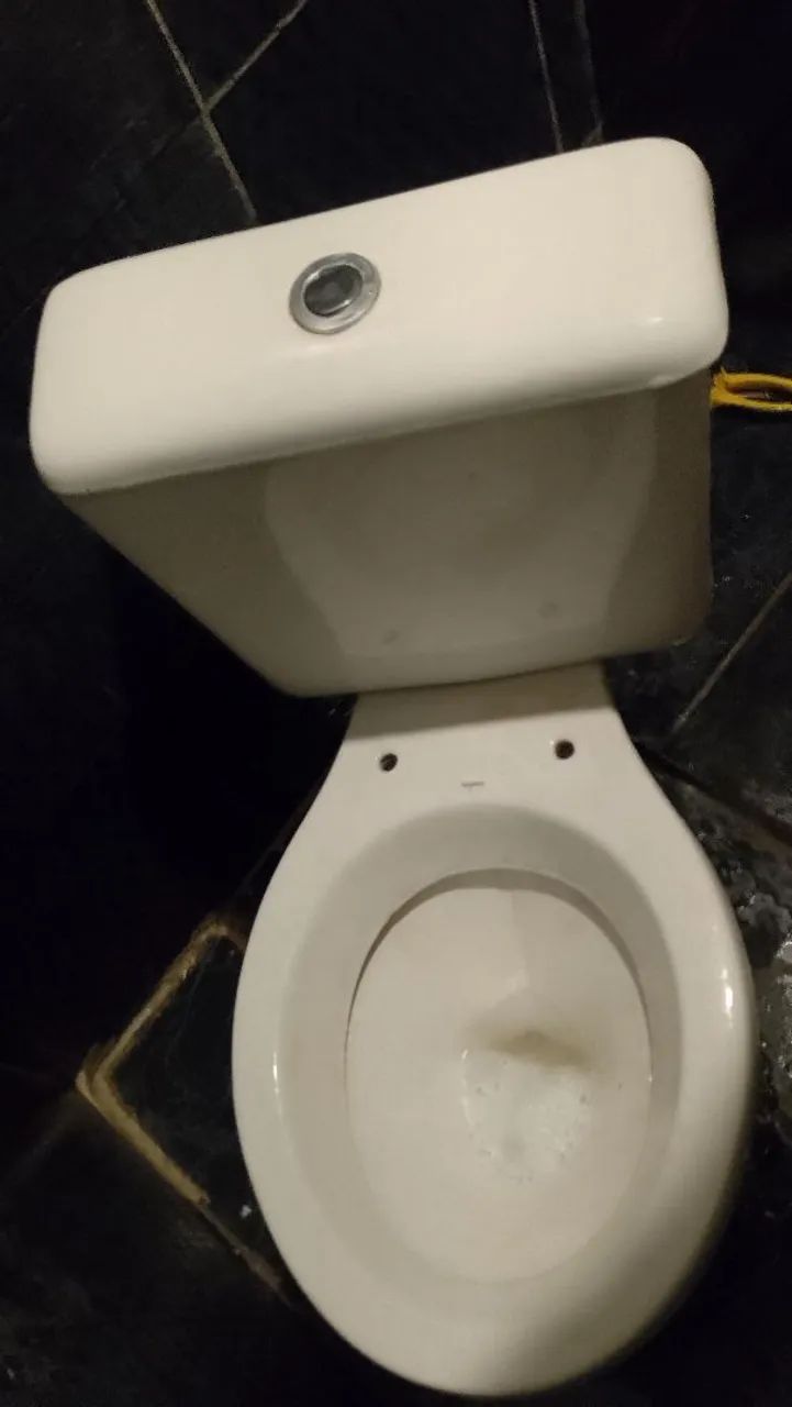 Vazo sanitário  - Foto 6