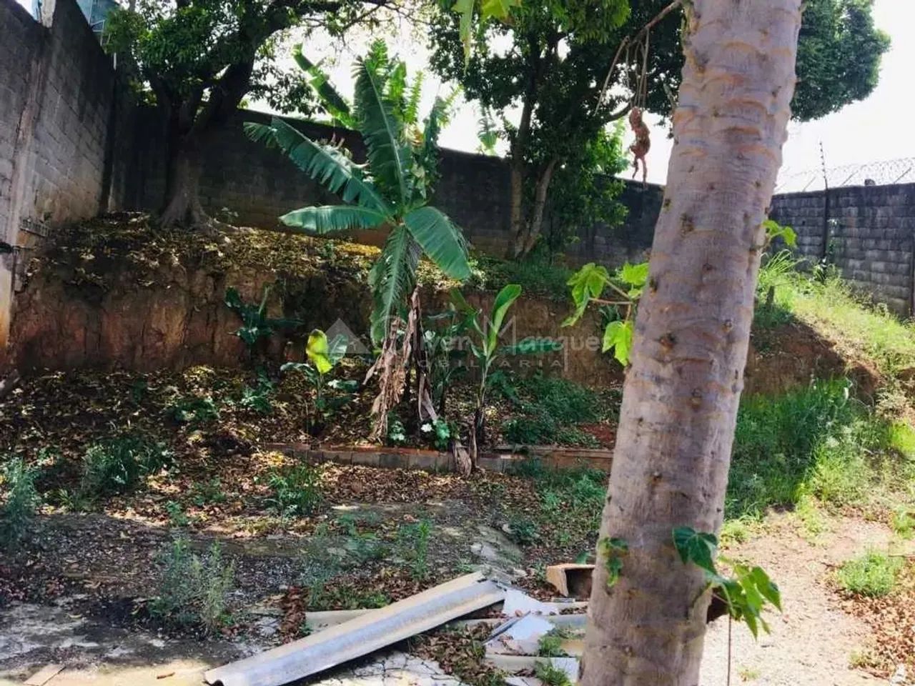 Terreno a venda no Jaguare - Foto 3