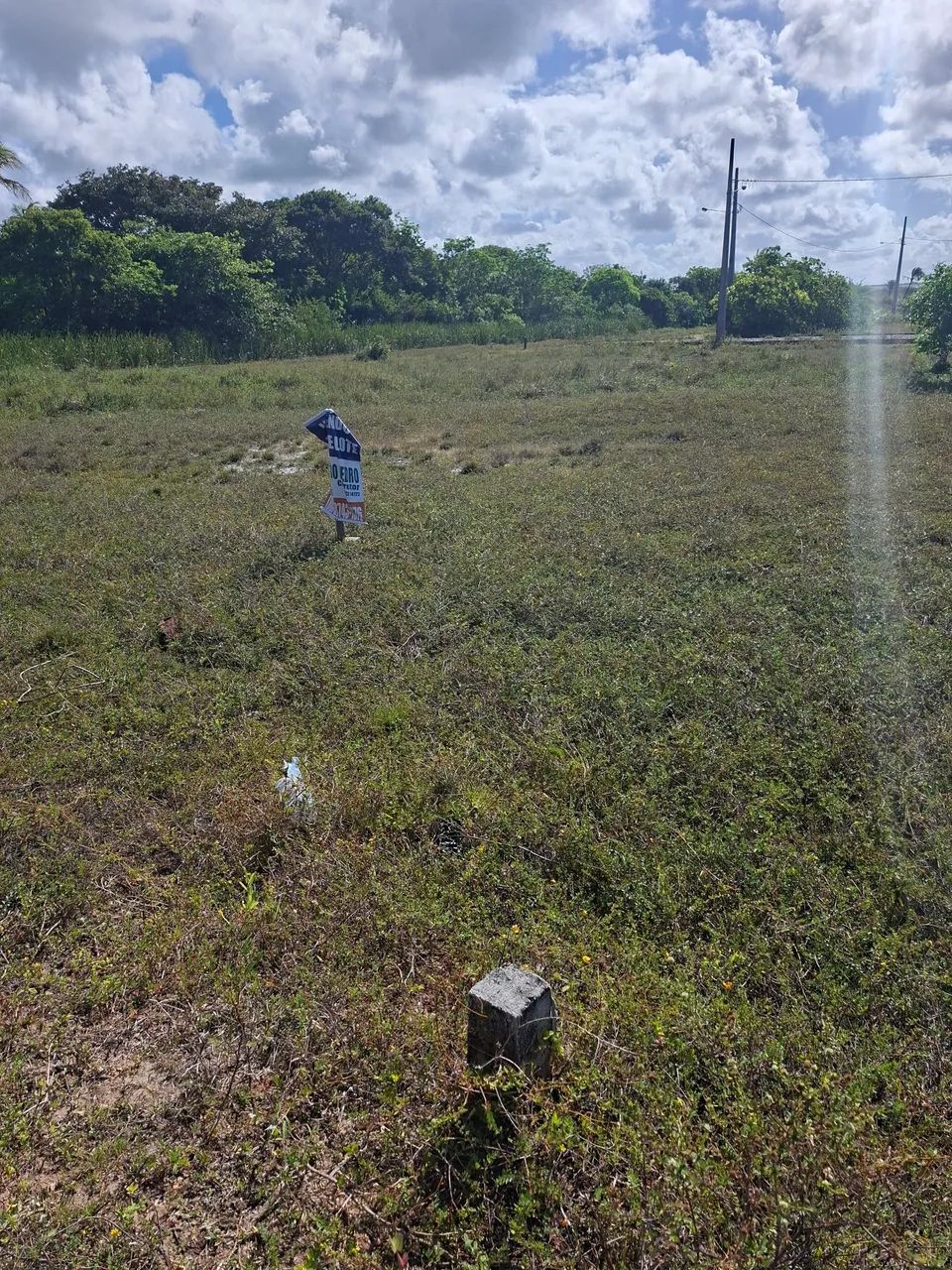 Terreno em Lucena - Foto 4