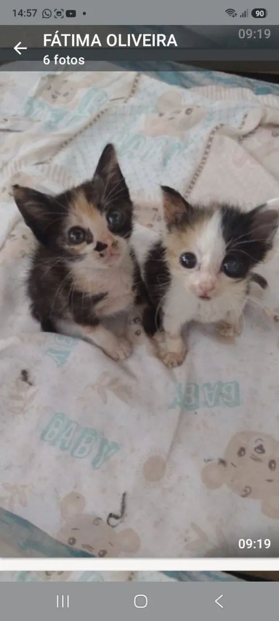 Lindos bbs - Foto 3