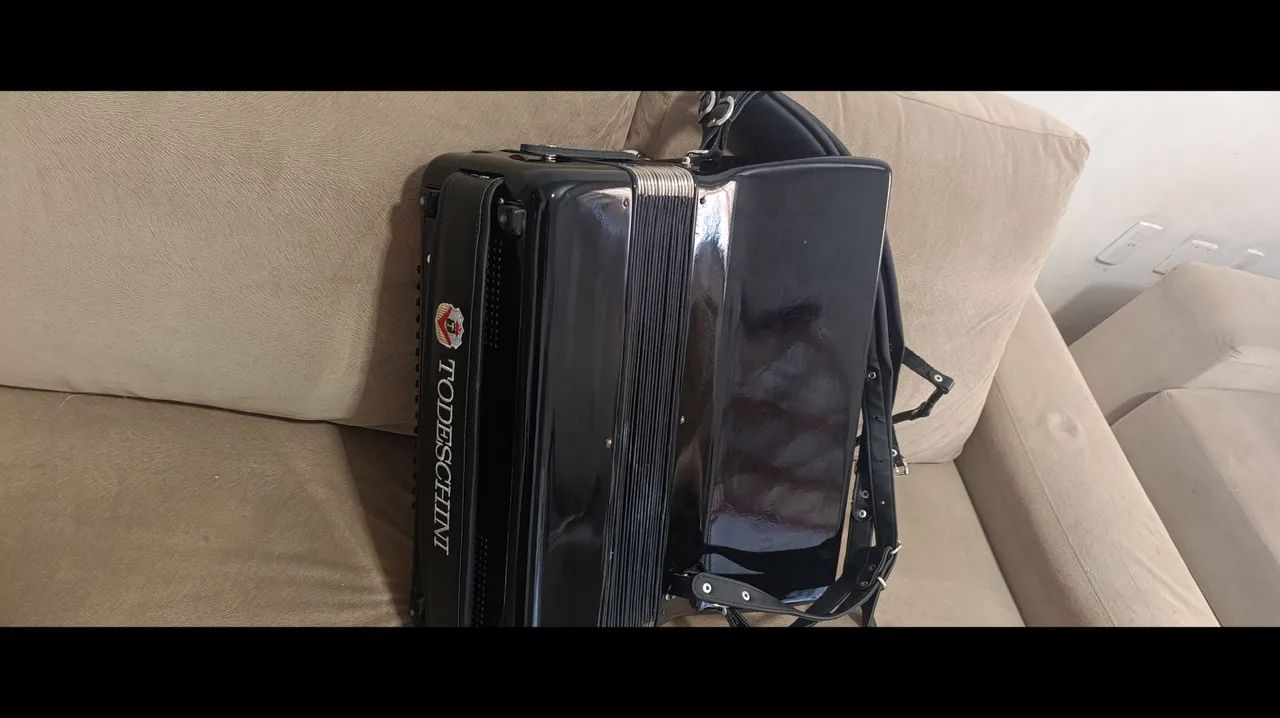 Sanfona, acordeon  - Foto 5
