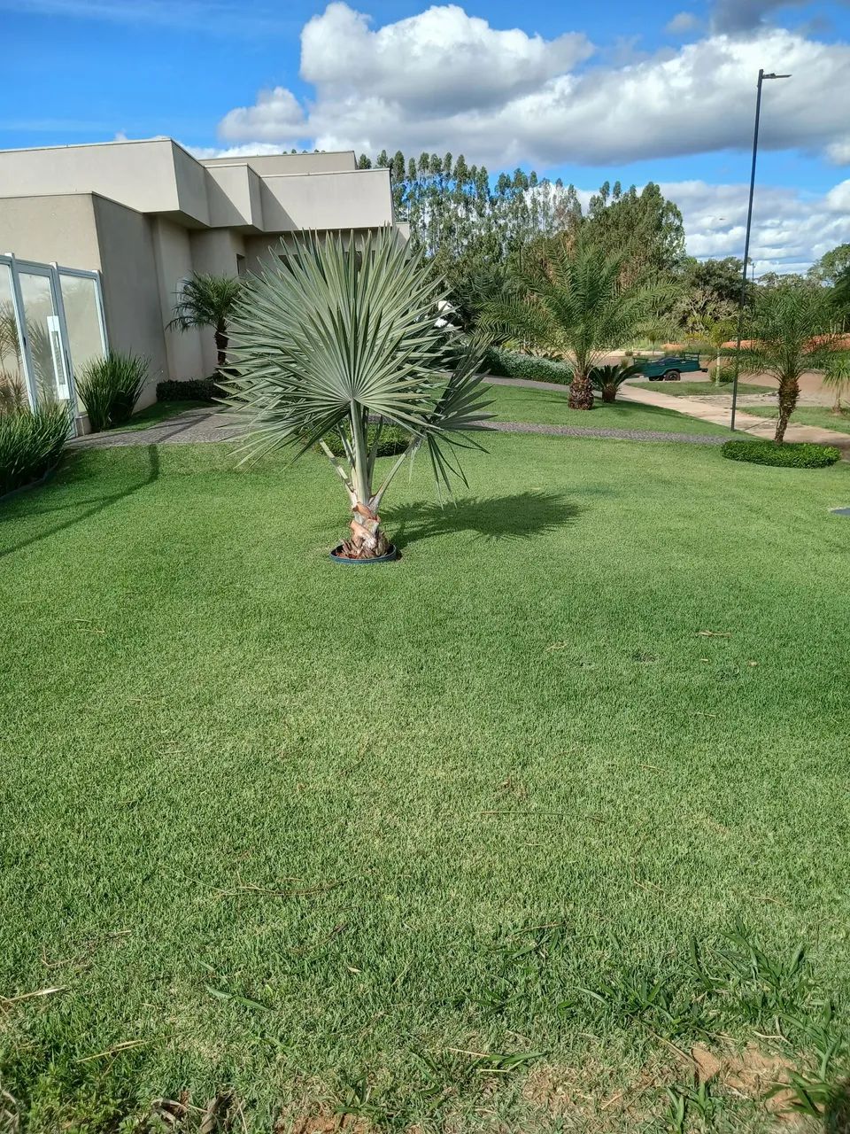 Jardineiro serviço diária e empreita. 