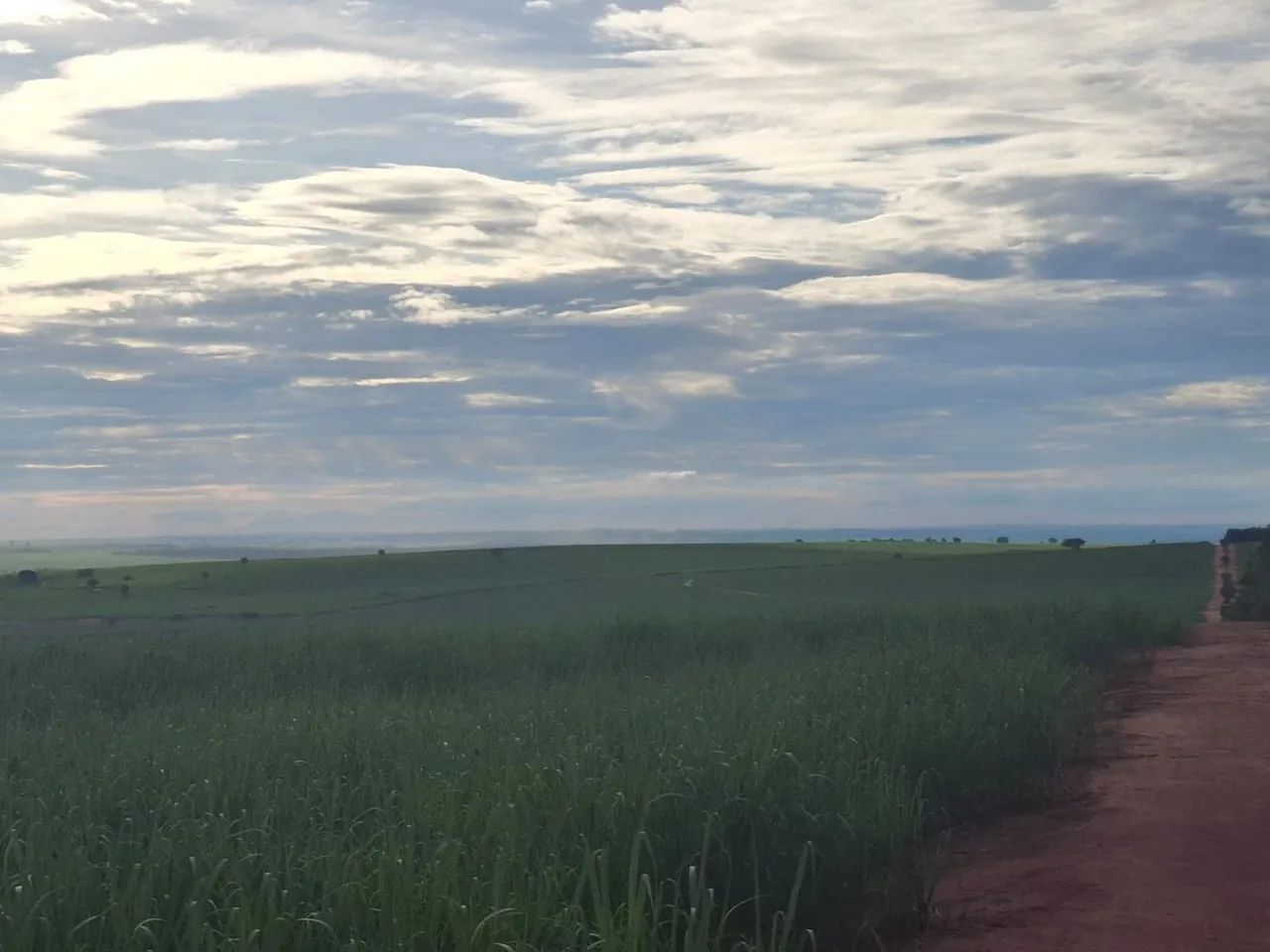 Fazenda de Cana !!!!!!!!!!!!! - Foto 5