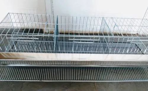 Reprodução e Recria Gaiolas e Pinteiro  - Foto 2