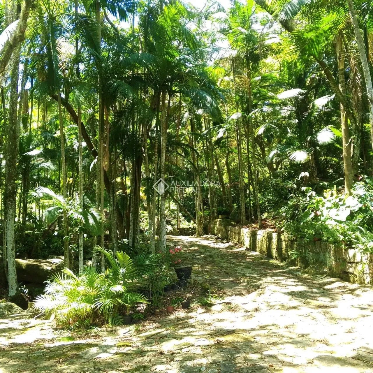 Sítio a Venda em Florianópolis Vargem do Bom Jesus - Foto 2