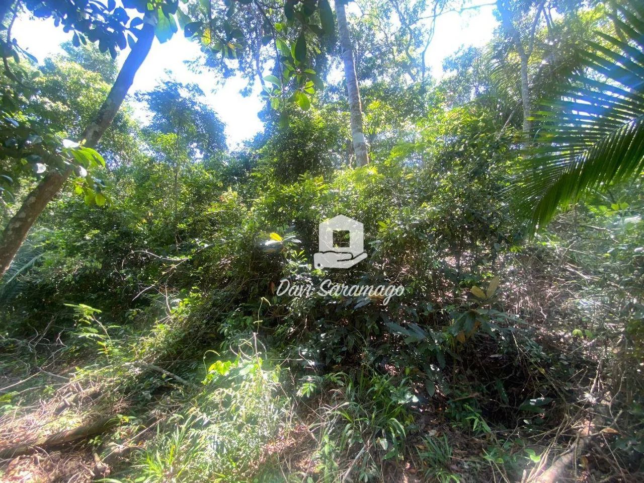 Terreno à venda, 5000 m² - Várzea das Moças - Foto 5