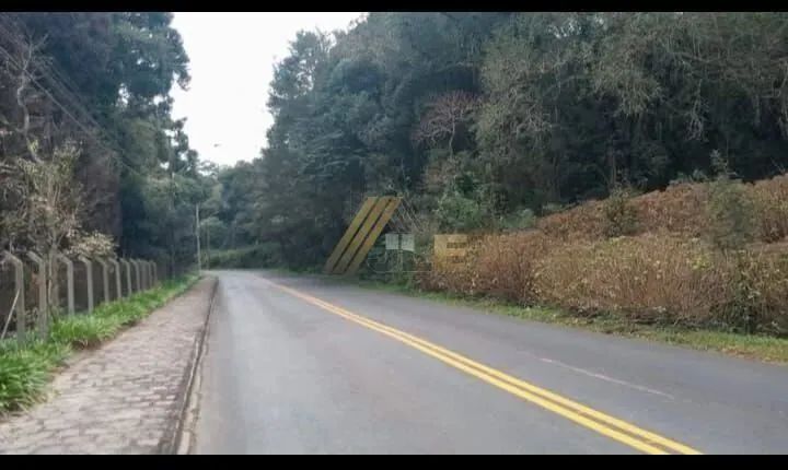 Chácara em Ferraria, Campo Largo/PR - Foto 4