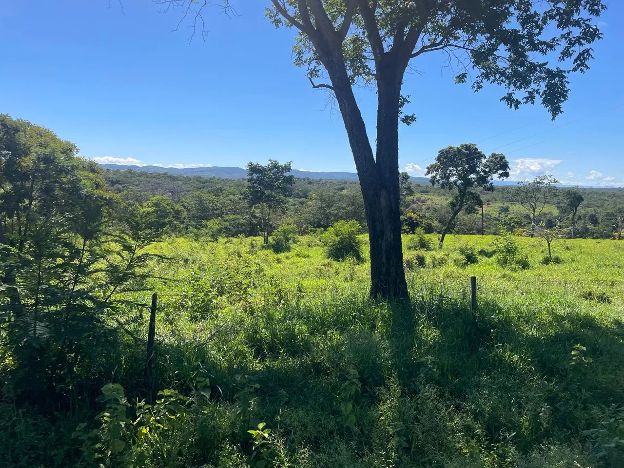 Fazendinha em terreno , a4km de Baldim - Foto 4