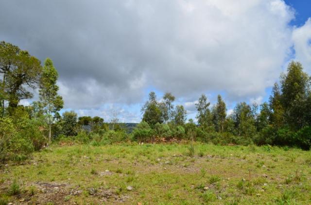 Terreno residencial à venda, vista do vale, canela. - Foto 4
