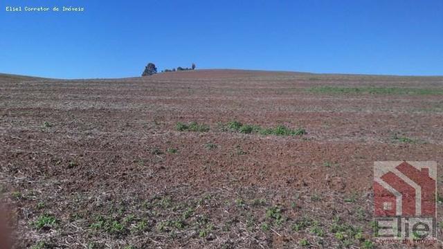 Fazenda para Plantio e Pastagem em Santa Terezinha - Foto 7