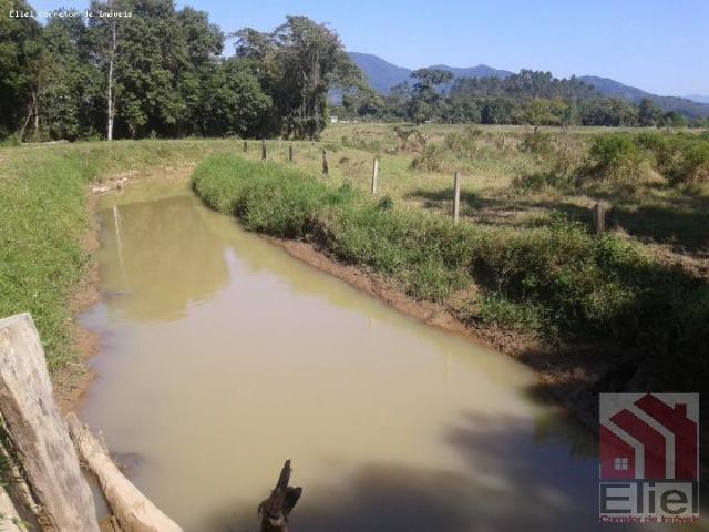 Fazenda Plana em Itapoá, Criação de Gado ou Plantio, Aceita Parte em Permuta - Foto 8