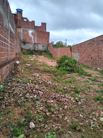 Venda - Foto 5