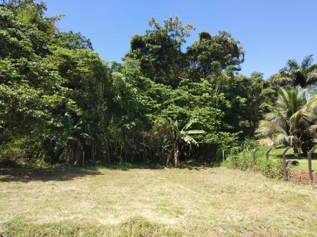 Lote Condomínio Ecológico Denpasa - Foto 10