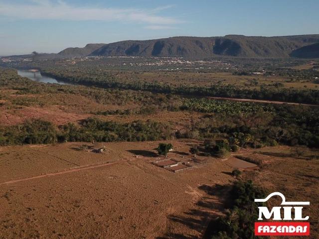 4 km de margens do Rio Araguaia. Fazenda 96 alqueires 464.64 Hectares - Aragarças-GO - Foto 8