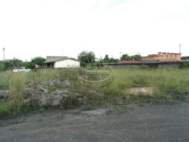 Galpão/depósito/armazém para alugar em Novo mundo, Gravataí cod:1818 - Foto 3