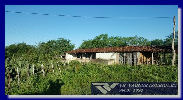 VR-Belíssima Fazenda 130ha com Estrutura, Localização Privilegiada, Valor Super Atrativo - Foto 12