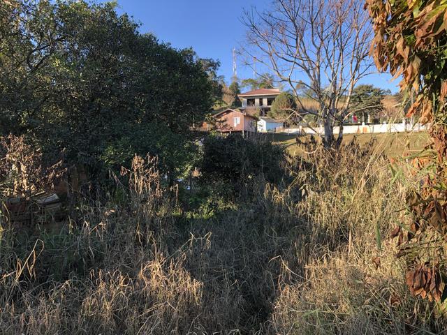 Terreno 1.539,65m2 - Foto 5
